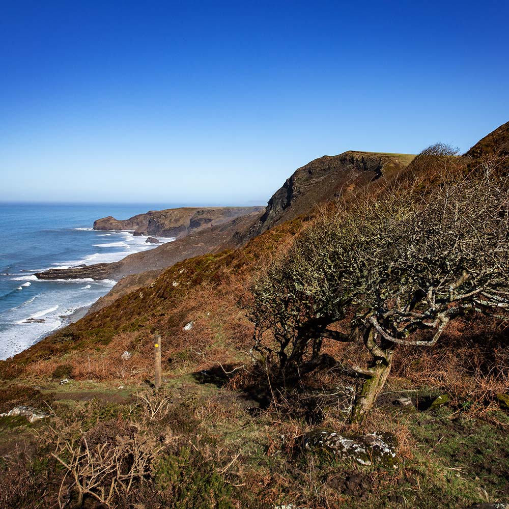 Photograph by Ian Harrold of the South West Coast Path, North Cornwall. Trebarwith Strand, Strangles Beach, Crackington Haven, Boscastle, Tintagel