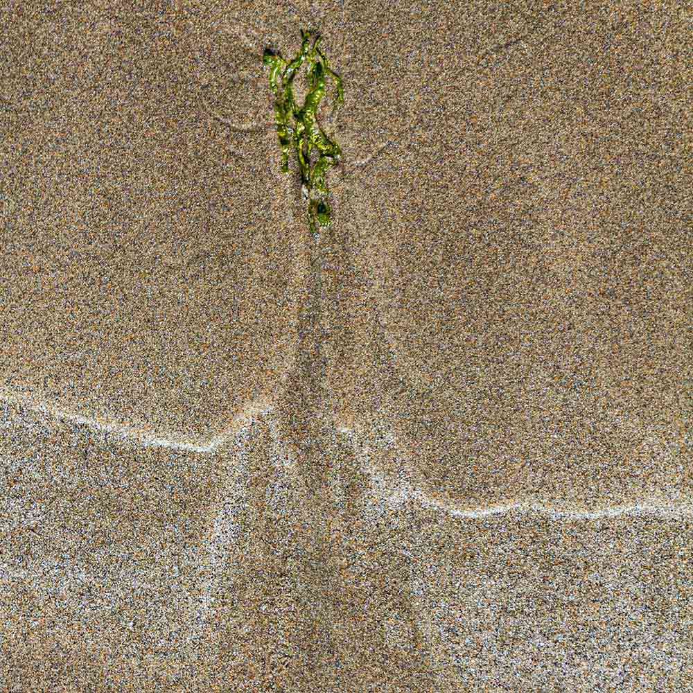 strands | green jewel like seaweed, sand and shadows on a Breton beach