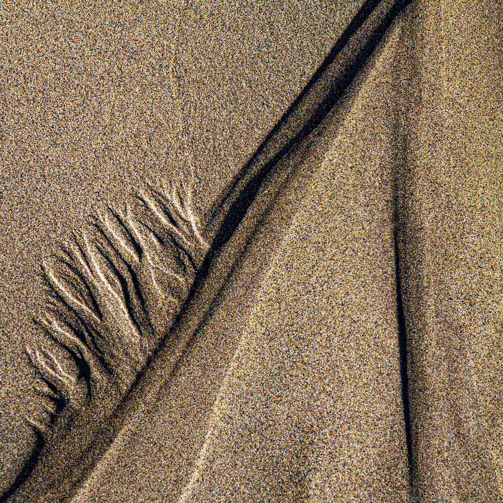 strands | Patterns like vertebrae in the sand and shadows like vertebrae on a Breton beach