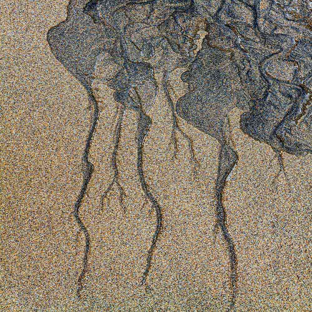 strands | Blue black manganese revealed by the receding tide on a Breton beach